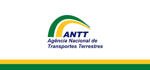 Informe RNTRC