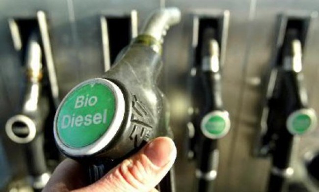 Novo programa de biocombustíveis deve impactar o transporte