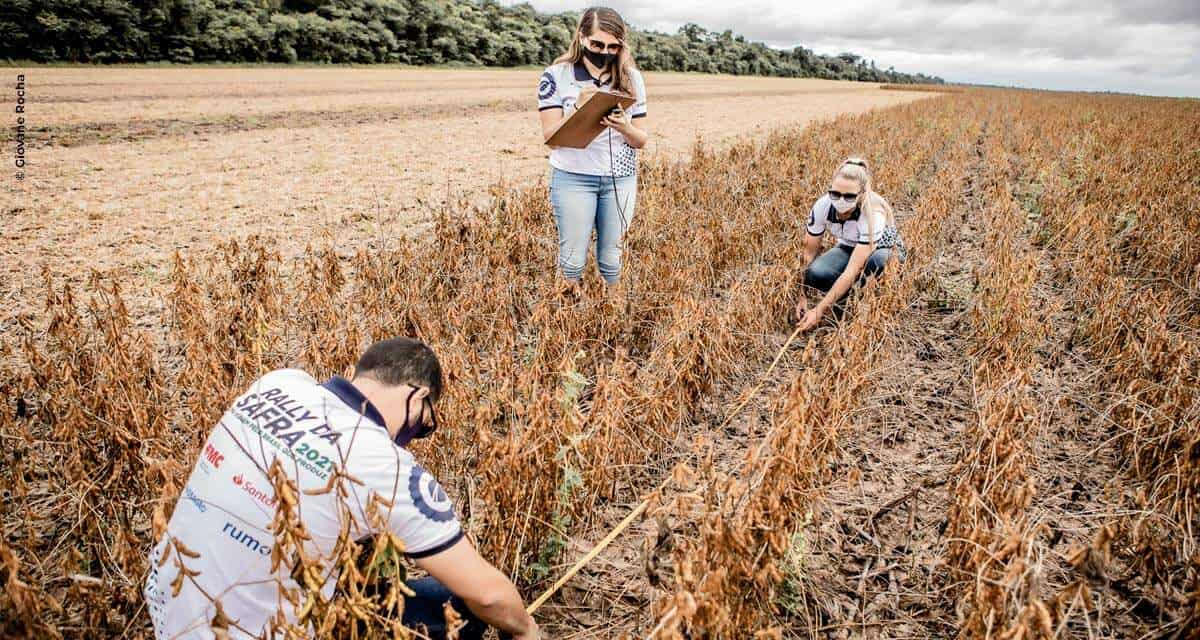 Rally da Safra vai avaliar lavouras de soja em Goioerê nesta quinta-feira, 20