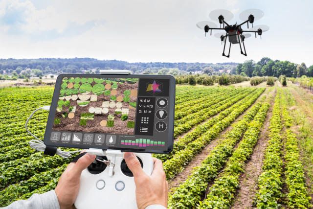 Agronegócio brasileiro se moderniza e pode alimentar o mundo em breve