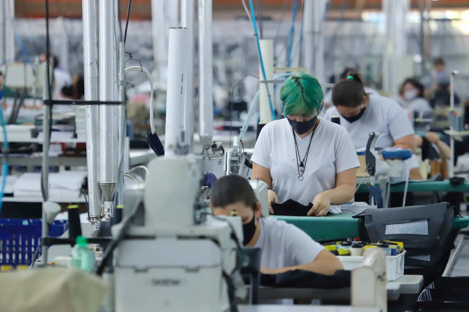 Paraná tem melhor saldo de empregos da região Sul, aponta Caged