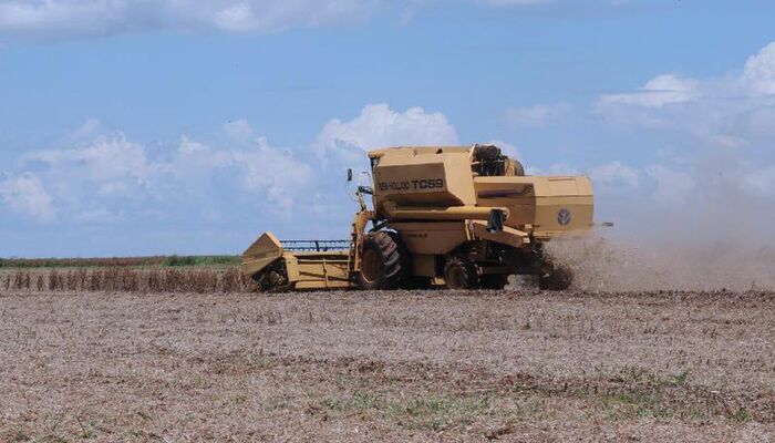 Agronegócio brasileiro fecha primeiro semestre com superávit acumulado de US$ 74 bi