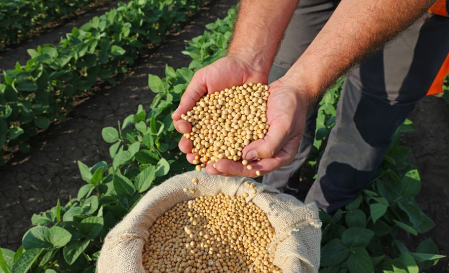 Exportações do agronegócio em setembro foram de US$ 13,71 bilhões 